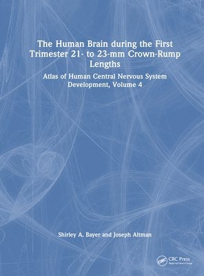 bokomslag The Human Brain during the First Trimester 21- to 23-mm Crown-Rump Lengths