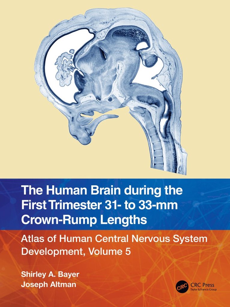 Shirley A. Bayer, Joseph Altman - Human Brain during the First Trimester 31- to 33-mm Crown-Rump Lengths, Häftad