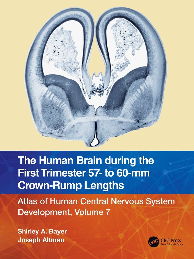 Shirley A. Bayer, Joseph Altman - Human Brain during the First Trimester 57- to 60-mm Crown-Rump Lengths, Häftad