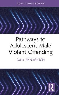 bokomslag Pathways to Adolescent Male Violent Offending
