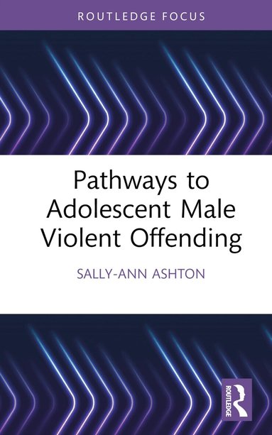 Sally-Ann Ashton - Pathways to Adolescent Male Violent Offending, Inbunden