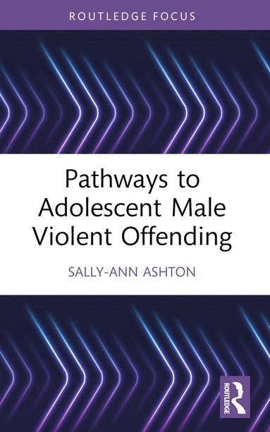 bokomslag Pathways to Adolescent Male Violent Offending