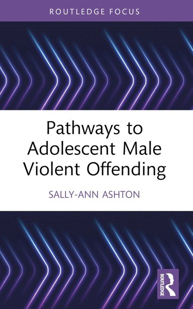 bokomslag Pathways to Adolescent Male Violent Offending