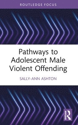 Pathways to Adolescent Male Violent Offending 1