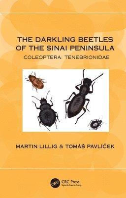 Martin Lillig, Tomáš Pavlíček, Germany) Lillig, Martin (BUND, Tomas (Univ. of Haifa) Pavlicek, Tomás Pavlí&#269;ek, Tomá, Pavlícek - Darkling Beetles of the Sinai Peninsula, Inbunden
