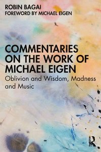 bokomslag Commentaries on the Work of Michael Eigen