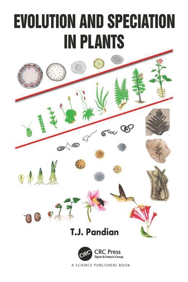 bokomslag Evolution and Speciation in Plants