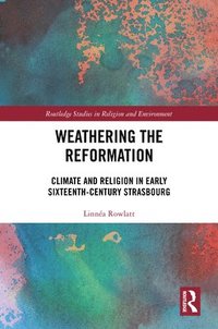 bokomslag Weathering the Reformation