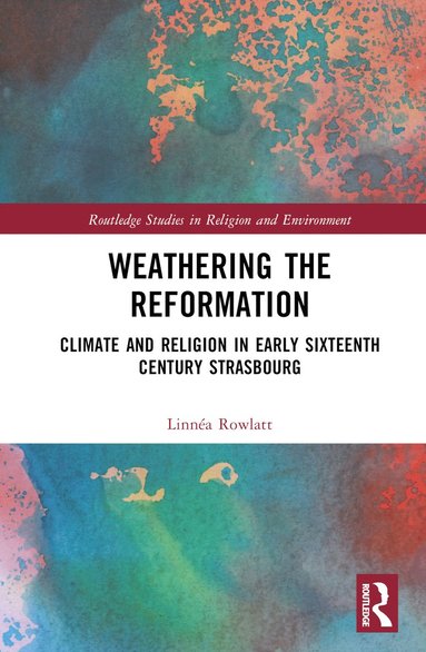 bokomslag Weathering the Reformation