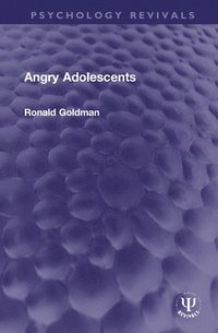 bokomslag Angry Adolescents