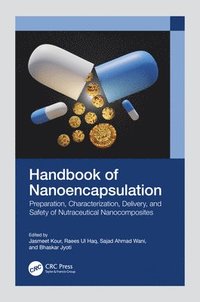 bokomslag Handbook of Nanoencapsulation