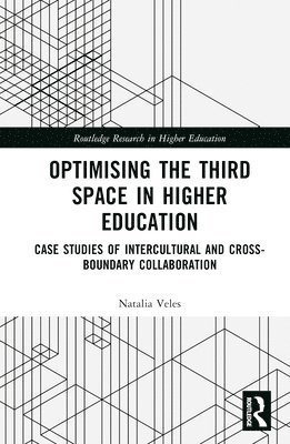 Optimising the Third Space in Higher Education 1