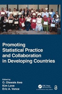 bokomslag Promoting Statistical Practice and Collaboration in Developing Countries