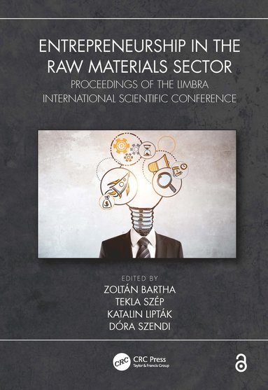 bokomslag Entrepreneurship in the Raw Materials Sector