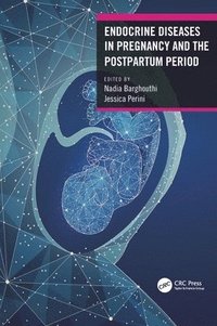 bokomslag Endocrine Diseases in Pregnancy and the Postpartum Period