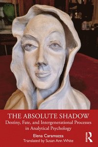 bokomslag The Absolute Shadow