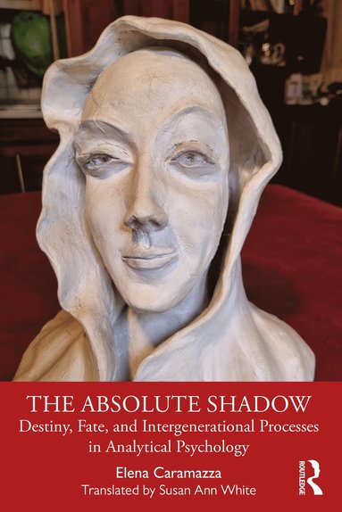 bokomslag Absolute Shadow
