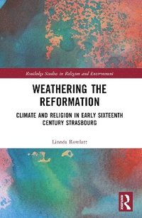 bokomslag Weathering the Reformation