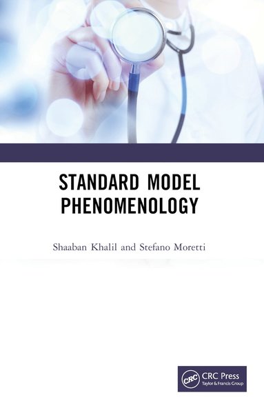 bokomslag Standard Model Phenomenology