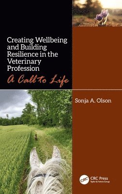 Creating Wellbeing and Building Resilience in the Veterinary Profession 1