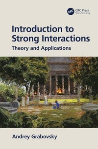 bokomslag Introduction to Strong Interactions