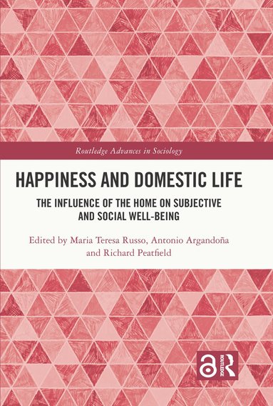 bokomslag Happiness and Domestic Life