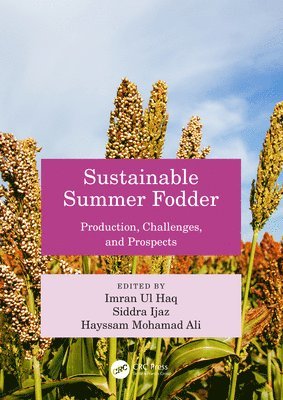 Imran ul Haq, Siddra Ijaz, Hayssam Ali, Imran Ul Haq, Hayssam Mohamad Ali - Sustainable Summer Fodder, Häftad
