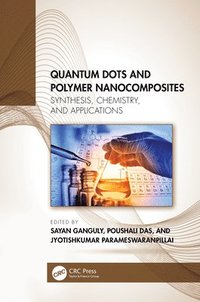 bokomslag Quantum Dots and Polymer Nanocomposites