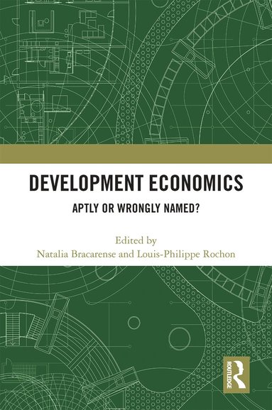 bokomslag Development Economics