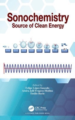 Felipe López-Saucedo, Amira Jalil Fragoso-Medina, Emilio Bucio, UNAM) Lopez-Saucedo, Felipe (Dept of Radiation Chem., Emilio (National Uni. of Mexico) Bucio - Sonochemistry, Inbunden
