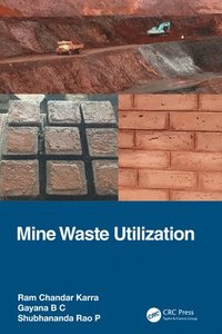 bokomslag Mine Waste Utilization