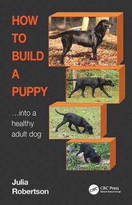 bokomslag How to Build a Puppy
