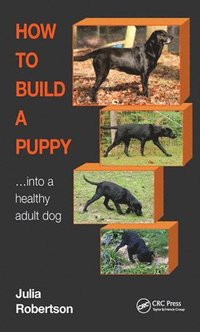 bokomslag How to Build a Puppy