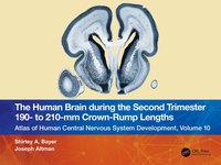 bokomslag The Human Brain During the Second Trimester 190- To 210-MM Crown-Rump Lengths