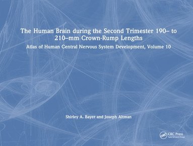 bokomslag The Human Brain during the Second Trimester 190 to 210mm Crown-Rump Lengths