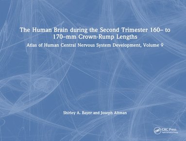 bokomslag Human Brain during the Second Trimester 160- to 170-mm Crown-Rump Lengths