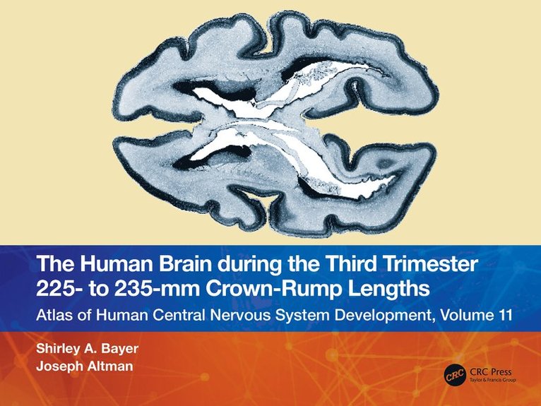 Shirley A. Bayer, Joseph Altman - Human Brain during the Third Trimester 225– to 235–mm Crown-Rump Lengths, Häftad