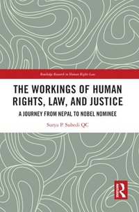 bokomslag The Workings of Human Rights, Law and Justice