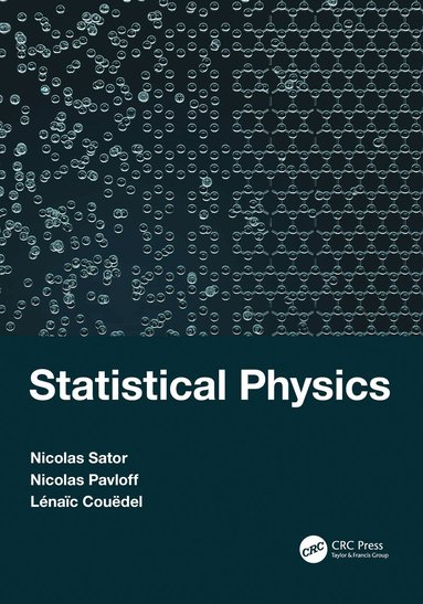 bokomslag Statistical Physics