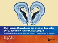 bokomslag The Human Brain during the Second Trimester 96- to 150-mm Crown-Rump Lengths