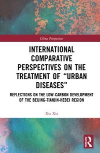 bokomslag International Comparative Perspectives on the Treatment of Urban Diseases