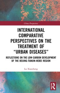 bokomslag International Comparative Perspectives on the Treatment of Urban Diseases