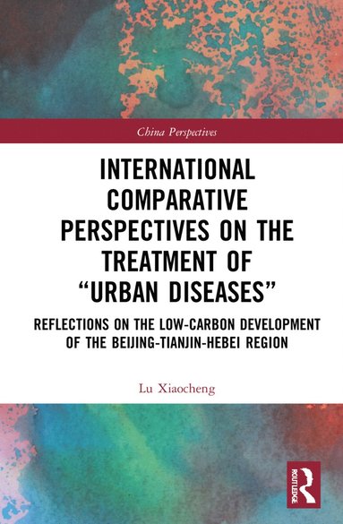 bokomslag International Comparative Perspectives on the Treatment of "Urban Diseases"