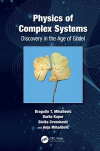 bokomslag Physics of Complex Systems