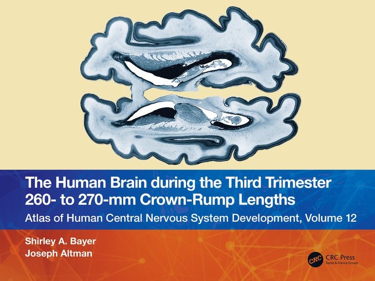 Shirley A. Bayer, Joseph Altman - Human Brain during the Third Trimester 260– to 270–mm Crown-Rump Lengths, Häftad