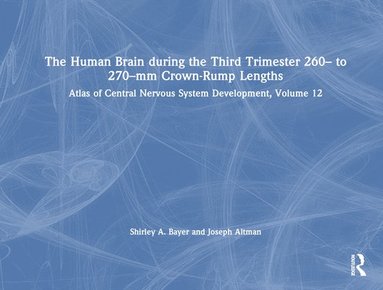 bokomslag The Human Brain during the Third Trimester 260 to 270mm Crown-Rump Lengths