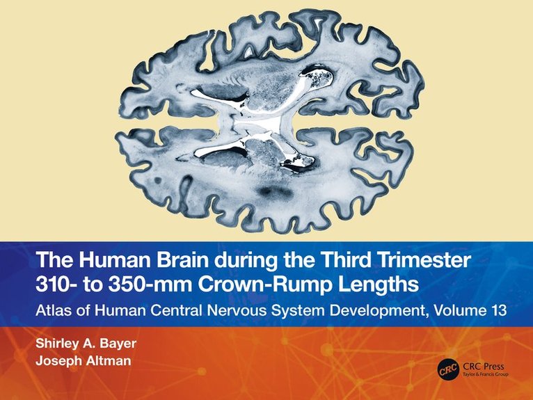 Shirley A. Bayer, Joseph Altman - Human Brain during the Third Trimester 310– to 350–mm Crown-Rump Lengths, Häftad