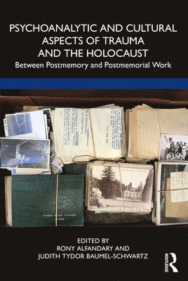bokomslag Psychoanalytic and Cultural Aspects of Trauma and the Holocaust