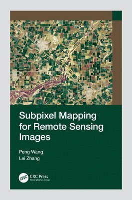 bokomslag Subpixel Mapping for Remote Sensing Images