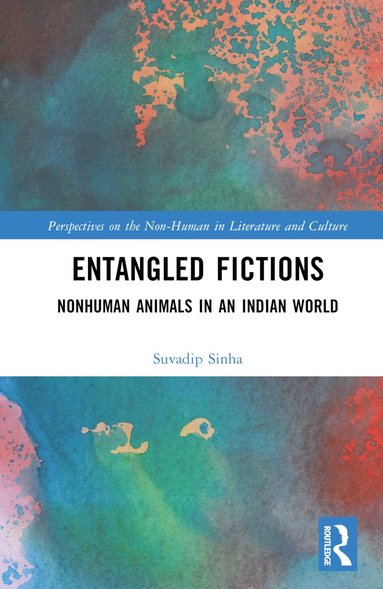 bokomslag Entangled Fictions